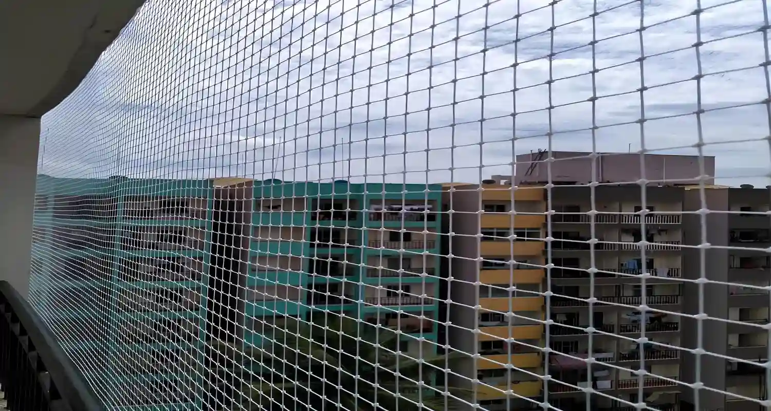 Top Quality Pigeon Safety Nets in Bangalore