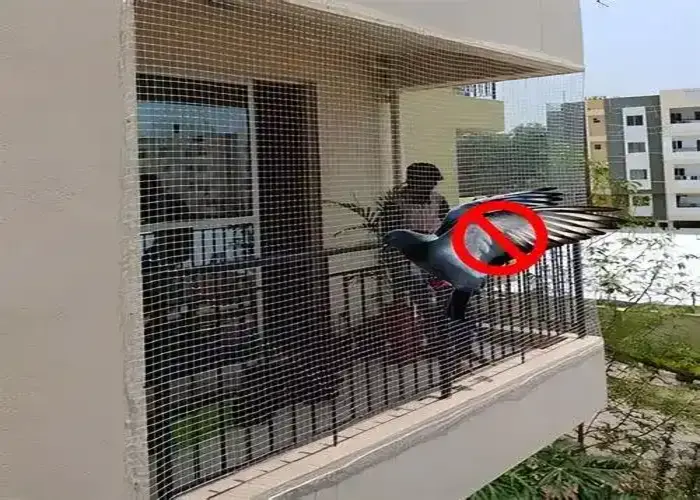 Pigeon Net for Balcony in Jayanagar, Marathahalli
