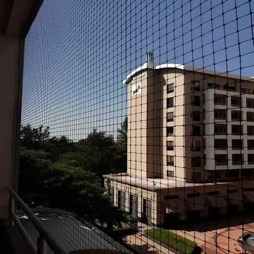 Pigeon Safety Nets in Jayanagar - Madhu Safety Nets (2)