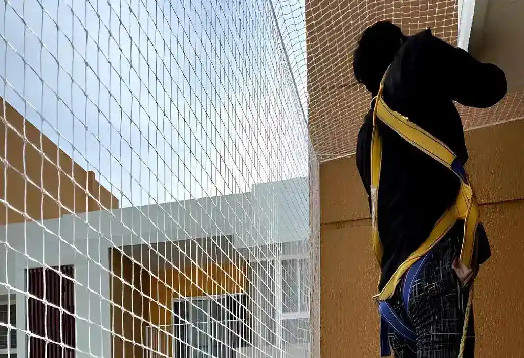 Pigeon Safety Nets in Jayanagar - Madhu Safety Nets (5)