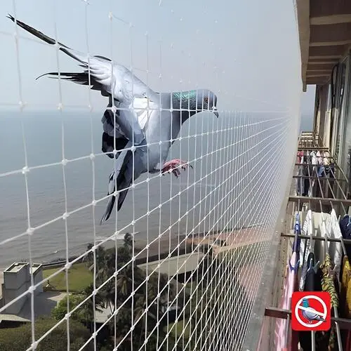 Premium Top Quality Pigeon Netting Services in Jayanagar and Marathahalli by Madhu Safety Nets (3)