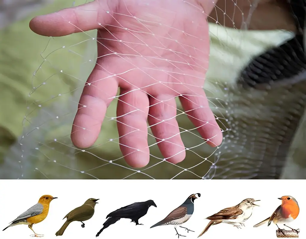 Bird Net for Balcony in Bangalore-Madhu Safety Nets (5)