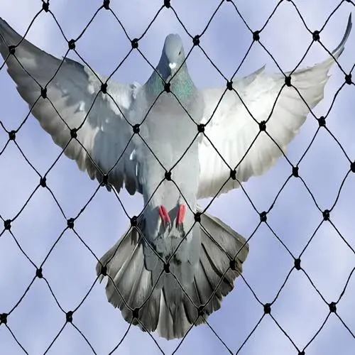 Bird Net for Balcony in Bangalore-Madhu Safety Nets