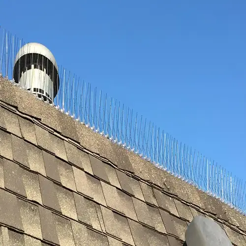 Bird Spikes for Pigeons in Bangalore-Madhu Safety Nets (2)