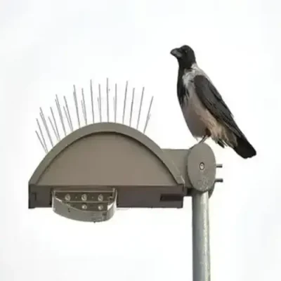 Bird Spikes for Pigeons in Bangalore-Madhu Safety Nets (3)