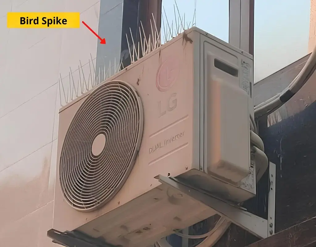 Bird Spikes for Pigeons in Bangalore-Madhu Safety Nets (4)