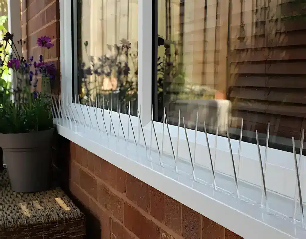 Bird Spikes for Pigeons in Bangalore-Madhu Safety Nets (5)