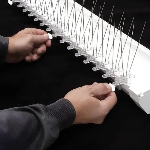 Bird Spikes for Pigeons in Bangalore-Madhu Safety Nets