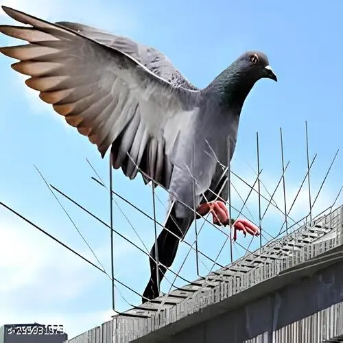 Madhu Safety Nets - Anti Bird Spikes in Bangalore