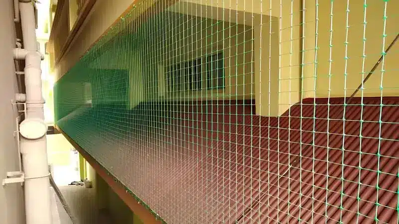 Projects-Anti Bird Nets by Madhu Safety Nets in Bangalore