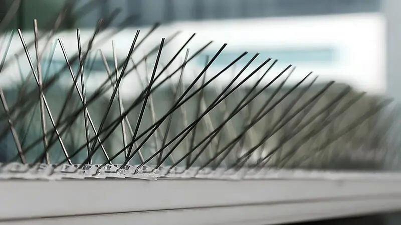 Projects-Anti Bird Spikes by Madhu Safety Nets in Bangalore